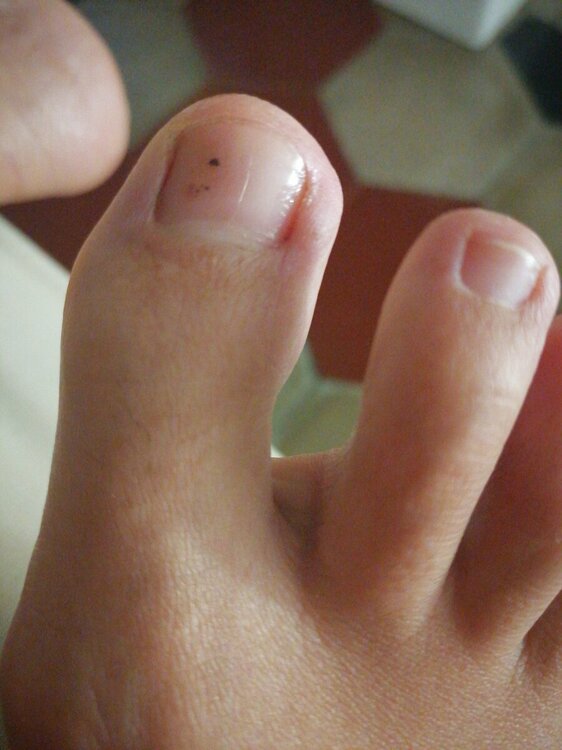 1655847876814.thumb.jpg.9d00d595f994b445e73e9f8805553f38.jpg