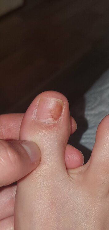 20220605_141134.jpg