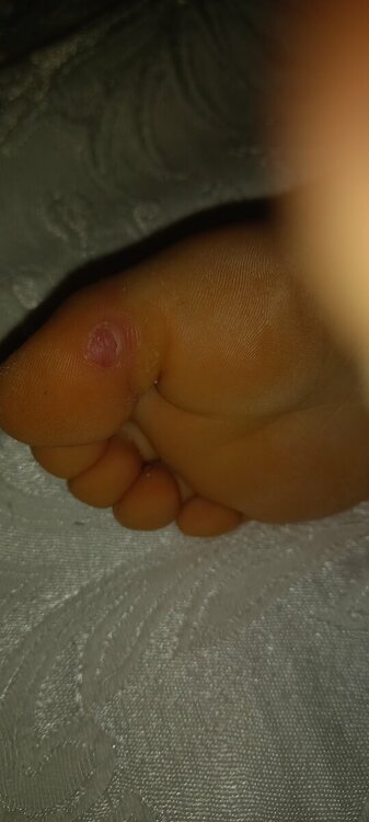 20220605_161312.jpg