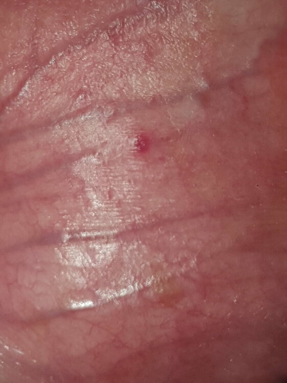 20220610_131034.jpg