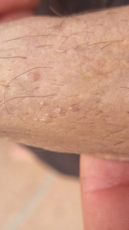 20220613_194350.thumb.jpg.f328641d5fda0179ff723d8436a558c4.jpg