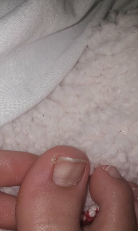 20220614_164050.thumb.jpg.3423743d39d62f143a7cb0527c289102.jpg