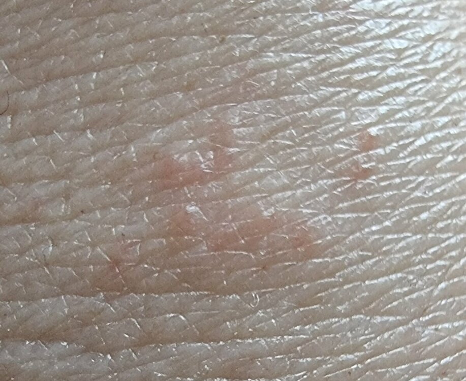 20220622_070036.jpg