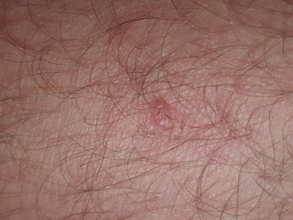 20220629_080903.jpg