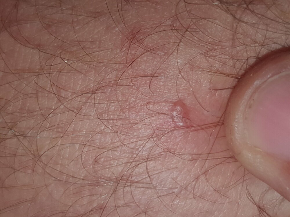 20220629_080913.jpg