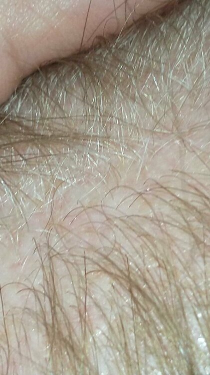 2022-6-28 18-5-1.jpg