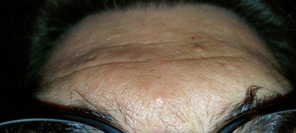 IMG-20220602-WA0040.jpg