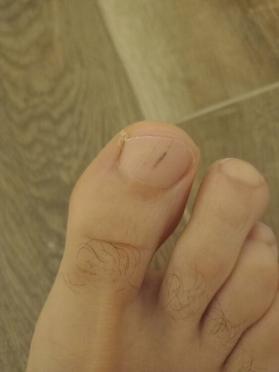IMG20220613095453.jpg