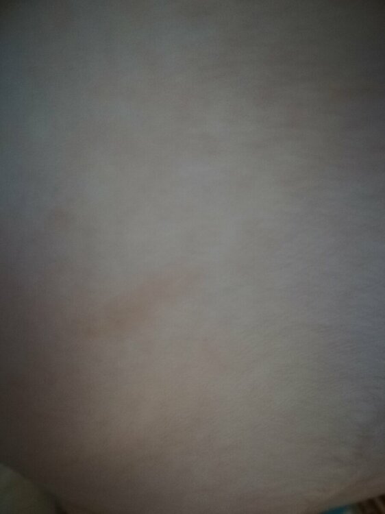 IMG_20220629_191216.jpg