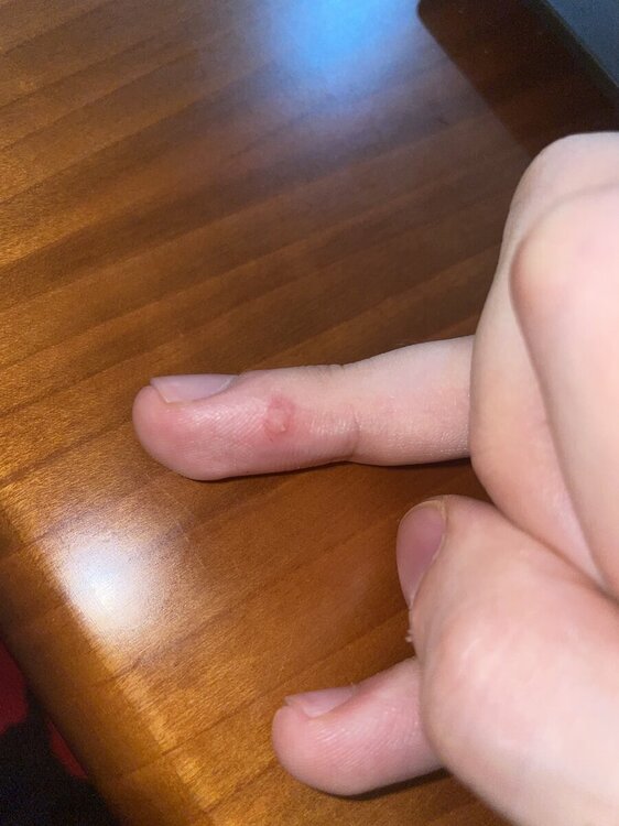 image.jpg