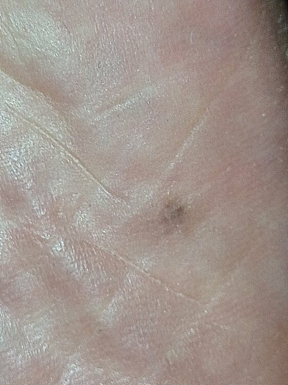 mir_20220617_120437.thumb.jpg.8f54e3b70a2da4b35448de8d8e14ac35.jpg