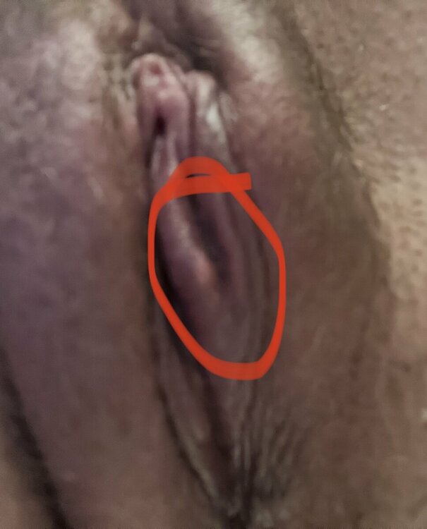 0C6861F8-9232-4327-9761-163D033CCD48.jpeg