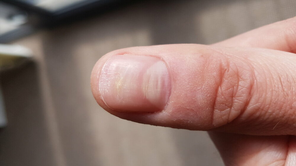 Photo thumb nail - left hand.jpg