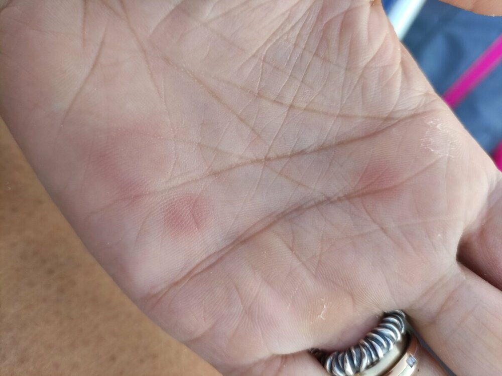 16586820578706423660138240521949.thumb.jpg.236bf0337246c66afb08a13685db058e.jpg