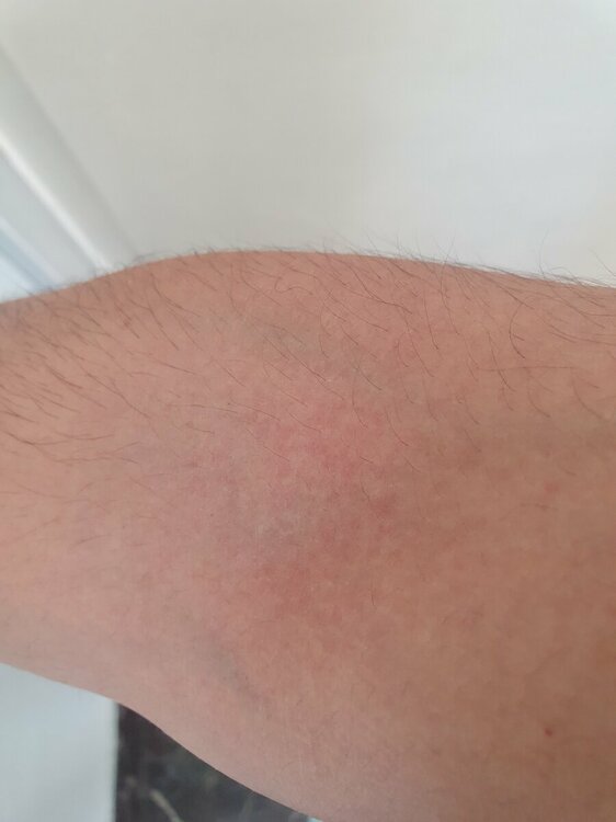 20220708_080447.thumb.jpg.d81f96b1b09a00ca60b11d51255525d5.jpg