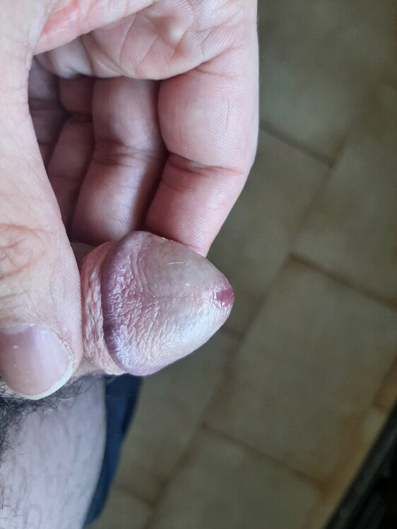 20220718_151526.jpg