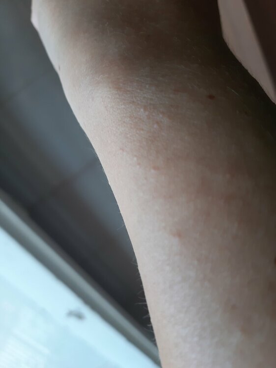 20220727_095145.thumb.jpg.c385a1359f68a03f9c98d44196756ae1.jpg