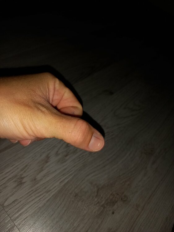 20220727_151702.jpg