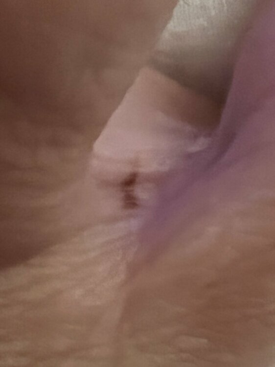 EC922353-E308-4AA1-88A1-37343AF21010.jpeg