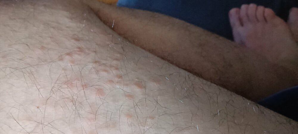 IMG20220724125359.jpg