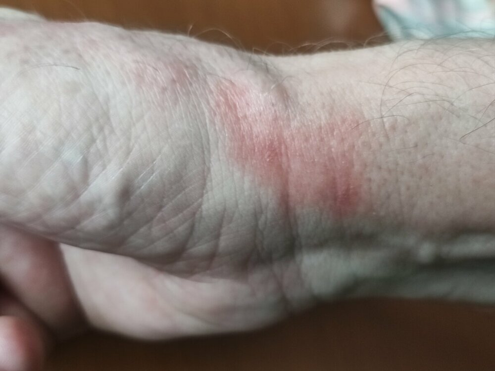 IMG_20220726_101558.jpg