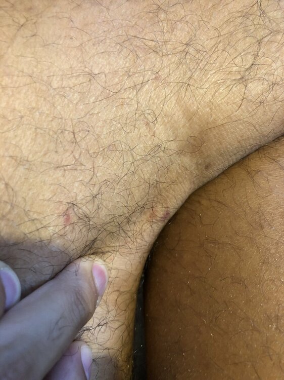 gamba sx.jpg