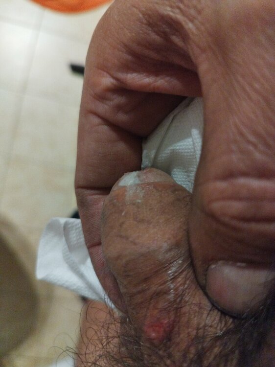 16639623908342062660924333520040.thumb.jpg.eaec0a3ad7308f42e77b6a07d9c2158c.jpg