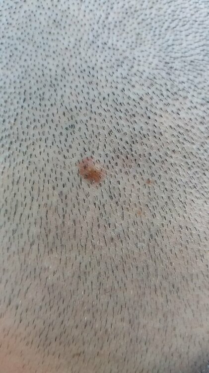 20160514_181808.jpg