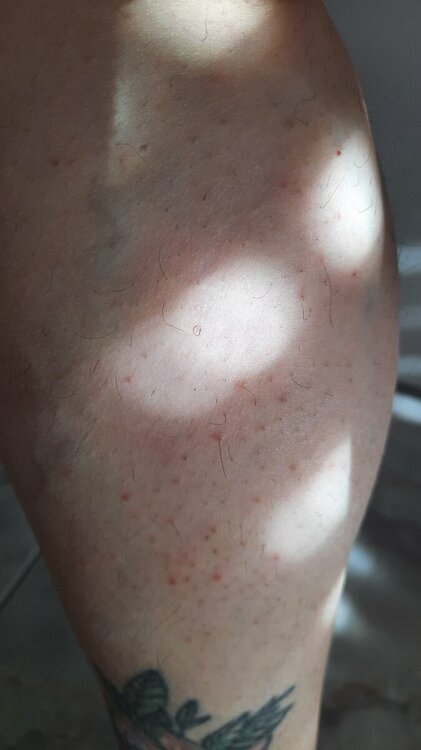 20220918_165950.jpg
