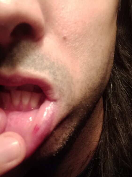 20220927_215741.thumb.jpg.50968d0f6205e7d23e7e087076ad1b87.jpg