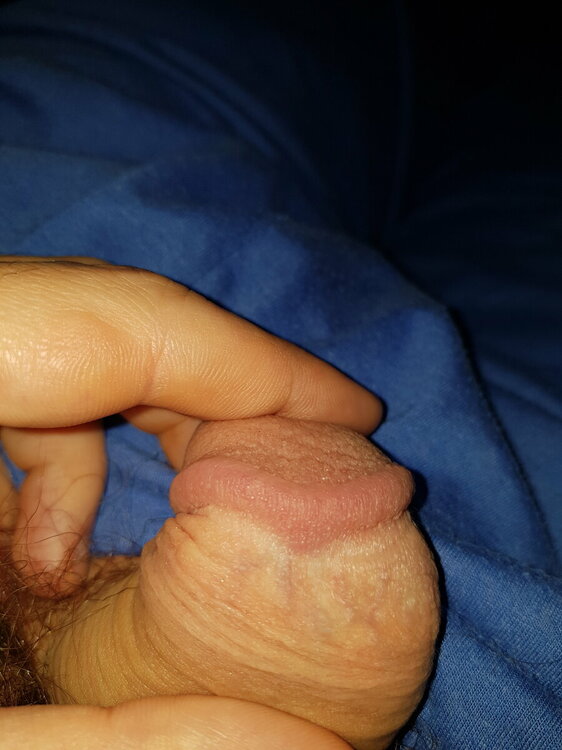 20220928_215826.thumb.jpg.d61e0bcf7daaf4dd8345c658bbc9e933.jpg