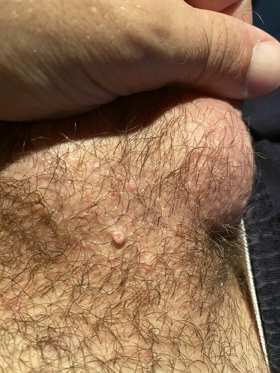A2C9E1C4-266D-497C-BC32-6A9BE853D2E3.thumb.jpeg.f67c8f47af11d35bee25d8c5c7b9c7f0.jpeg
