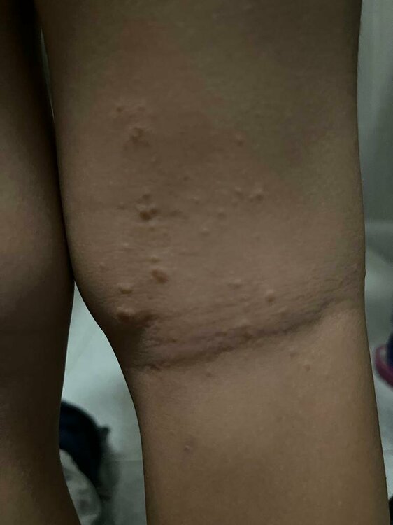 B0AA8D4A-BB4A-4526-8FD3-0861D1C7A416.jpeg