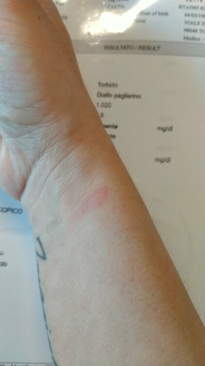 IMG-20220826-WA0019.jpeg