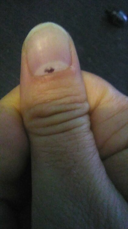 IMG-20220923-WA0005.thumb.jpeg.c1849413000d262b6225f42da2d2d83c.jpeg