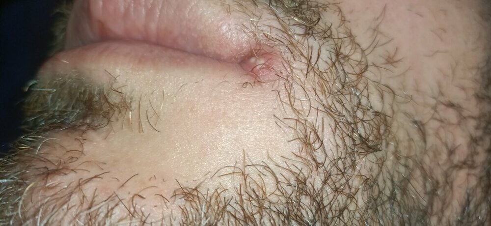 IMG20220906124801.jpg