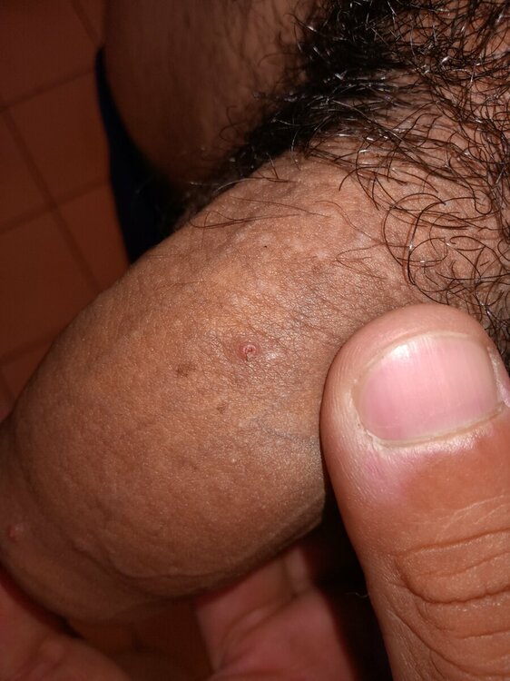 IMG20220915095611.jpg