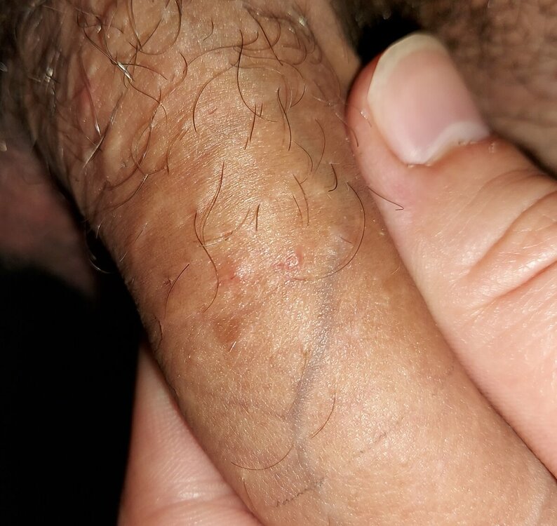 20221028_133109.thumb.jpg.6fe9d0cae683bfcdf8771e69237a2ab7.jpg