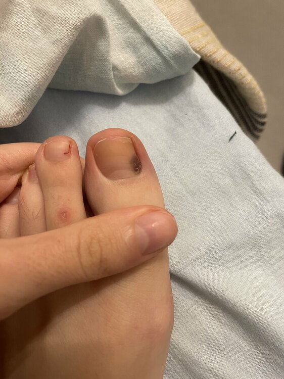 36E1292B-B30C-4581-83E5-17AAD09DE0A5.jpeg