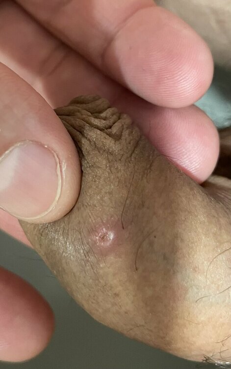 AFB04FAA-105A-43A7-9D3E-E69ECC345E50.thumb.jpeg.e5b4415f5661c24f70fd72c63963e50e.jpeg