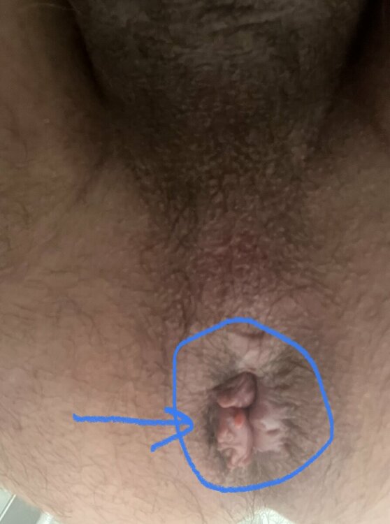DAEABCE1-C8C9-4E3A-B004-1FECC20C1D0B.jpeg