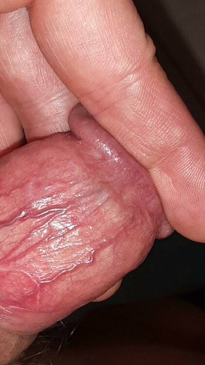 IMG-20221013-WA0005.jpeg