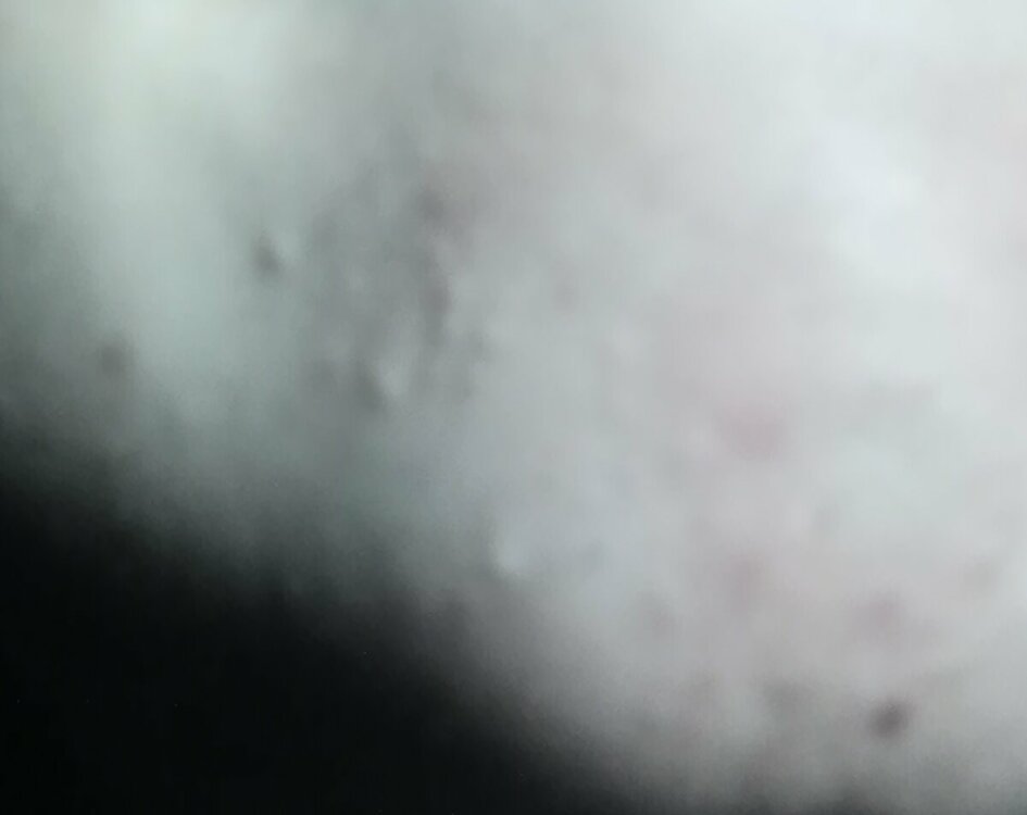 IMG_20221022_094027.jpg