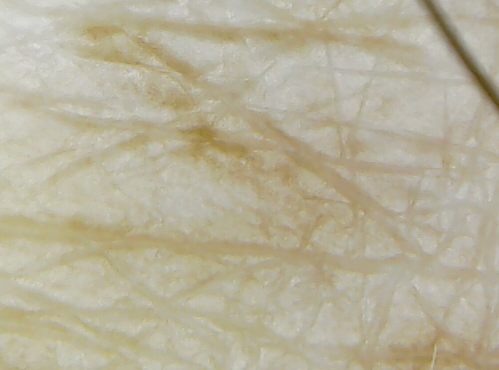 c.thumb.jpg.17b1c805f1b4ce5cc2bec14821454f42.jpg