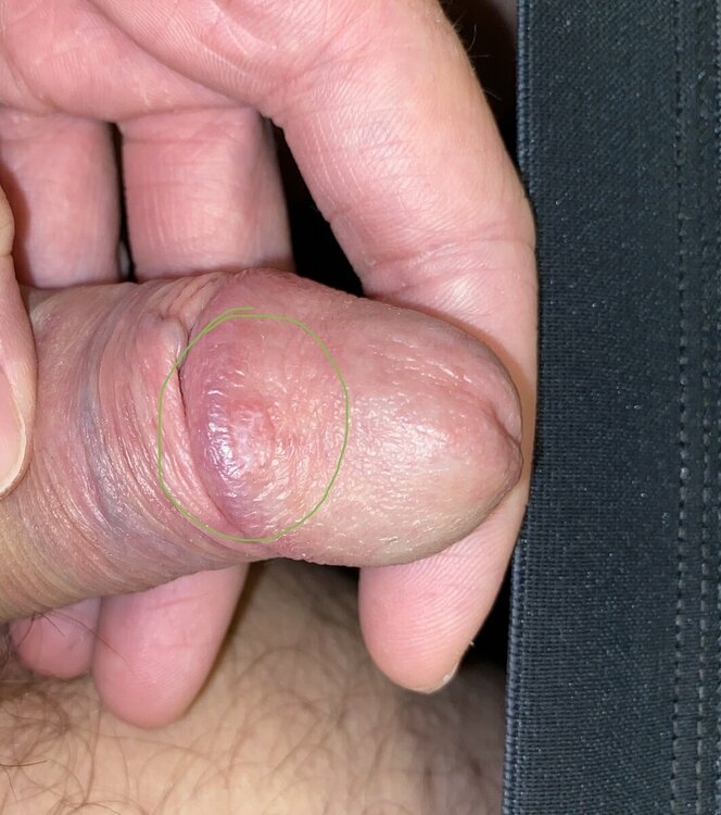 0C2BB8A5-DB02-4EEA-B6A9-09B33220453F.thumb.jpeg.3d6ea07611946f7c58685f37a4312244.jpeg