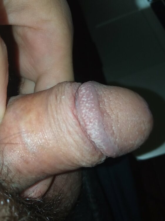 1669210125793.jpg