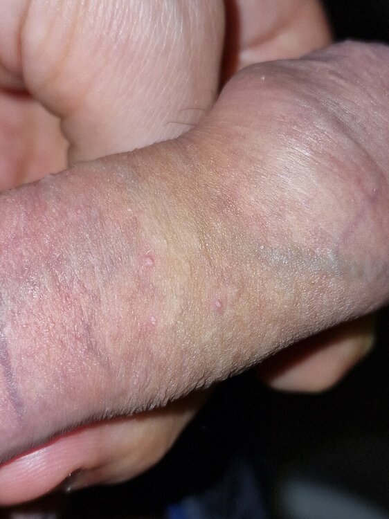 20221109_105945.jpg