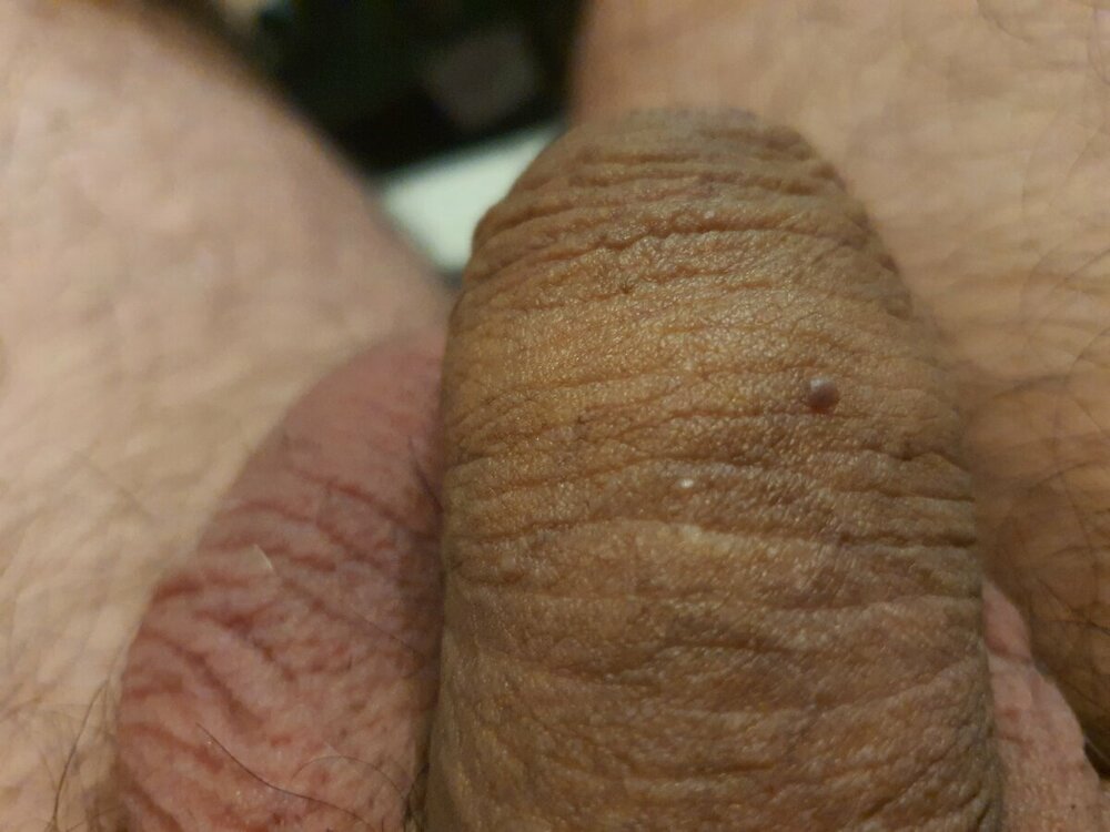 20221116_140341.jpg
