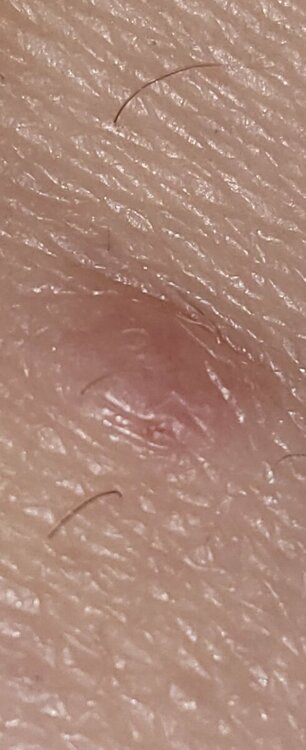 20221129_085553.jpg