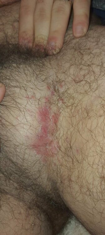 WhatsApp Image 2022-11-22 at 10.28.55.jpeg